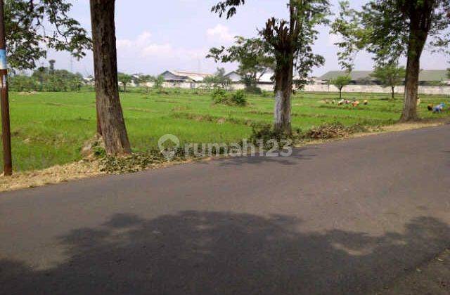 Tanah Luas di Raya Sukorejo Pasuruan 2