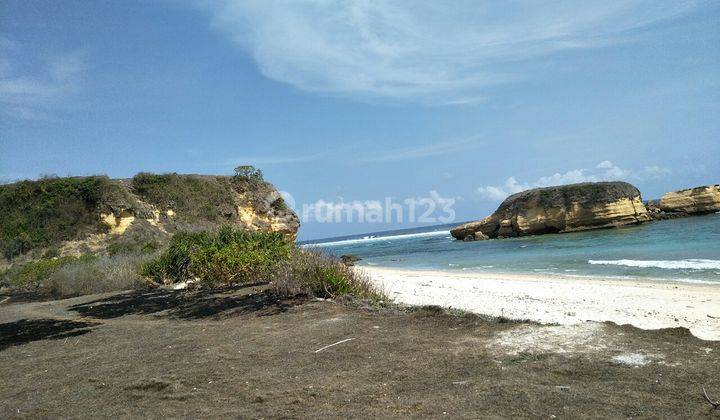 Lahan Murah Los Pantai Pasir Putih 2