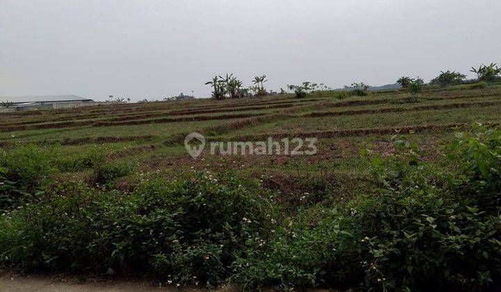 Tanah di Desa Cileles kecamatan Tiga Raksa seluas 70 Hekter 1