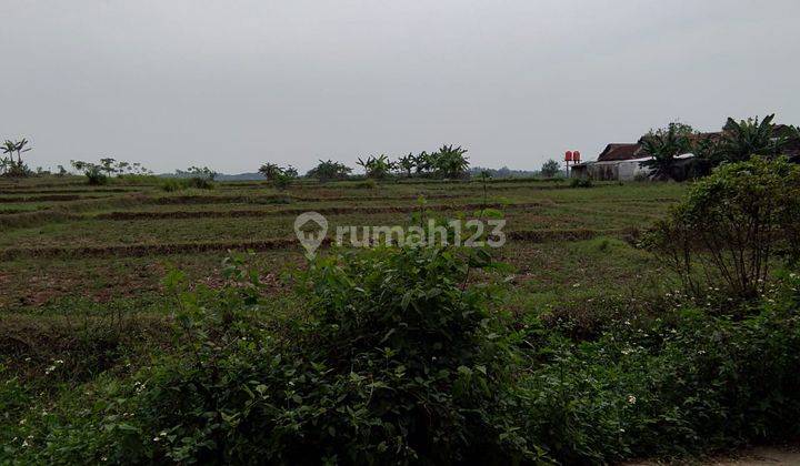 Tanah di Desa Cileles kecamatan Tiga Raksa seluas 70 Hekter 2