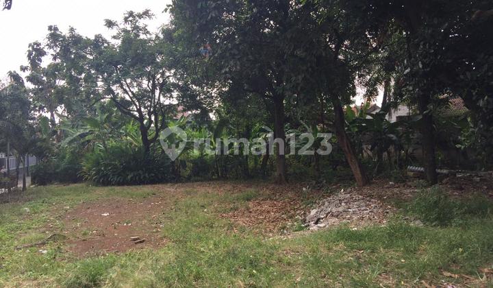 Tanah cirendeu ciputat tangerang selatan Tanah cirendeu ciputat tangerang selatan