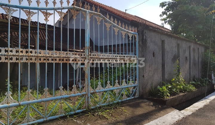 Central City Plot Ready to Build on Jl Badak 1