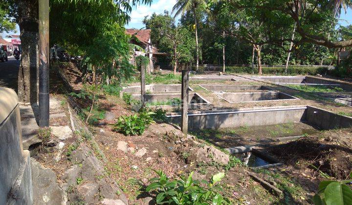 di Linggan kronggahan trihanggo mlati sleman yogyakarta, Sleman 2