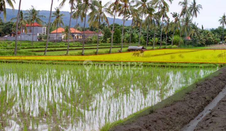 Residential Land in Sambangan 1