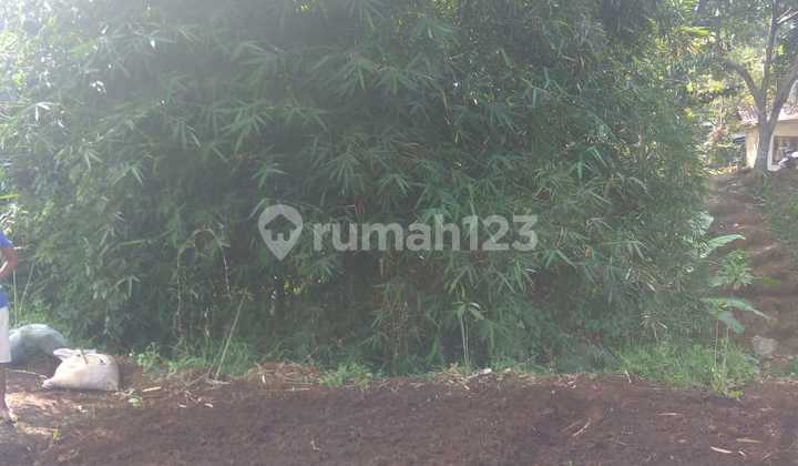 Land with a land area of 1195 m2, suitable for housing in the Setiabudi Wing area!! Land with a land area of 1195 m2, suitable for housing in the Setiabudi Wing area!!