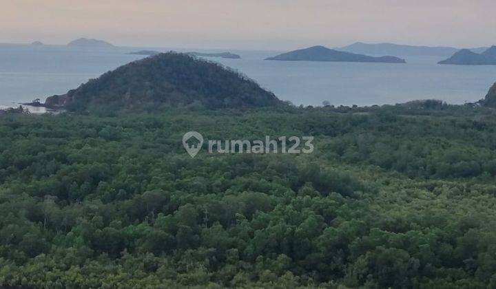 Beach View Land at Flores 1