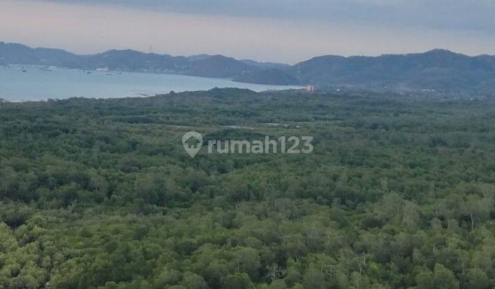 Beach View Land at Flores 2