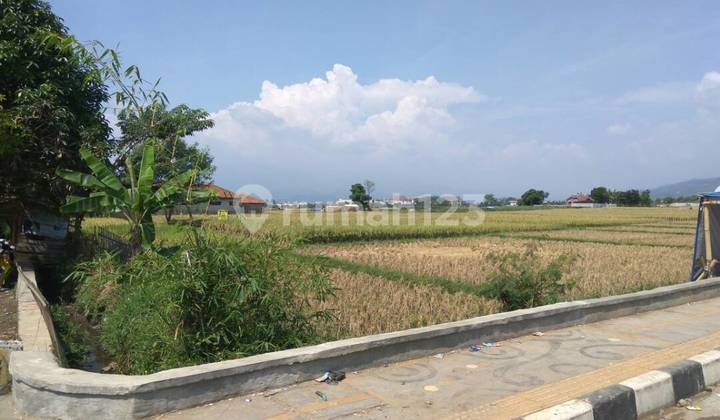 Tanah Cocok Untuk Cluster Perumahan di Parung Serab, Soreang