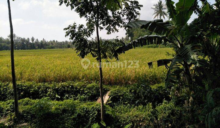 Lahan Murah Pinggir Jalan Cocok Untuk Pertokoan 2