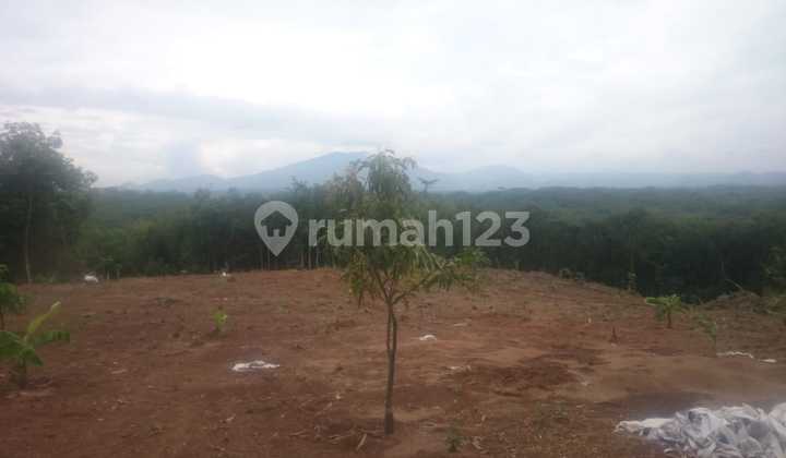 Tanah Peruntukkan Perumahan di Jasinga Bogor Tanah Peruntukkan Perumahan di Jasinga Bogor