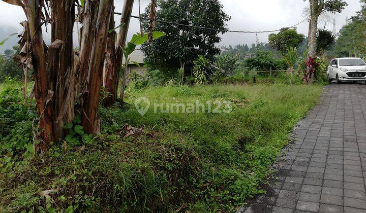 Tanah Dijual, Luas 4.650 M2, di Bedugul, Tabanan, Bali 1