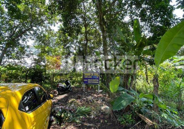 Dijual Tanah Harga Murah Di Bogor 2