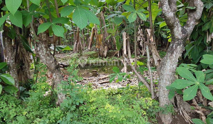 Tanah pekarangan bagus di Condong Catur cocok untuk hunian, homestay atau kost mahasiswa 2