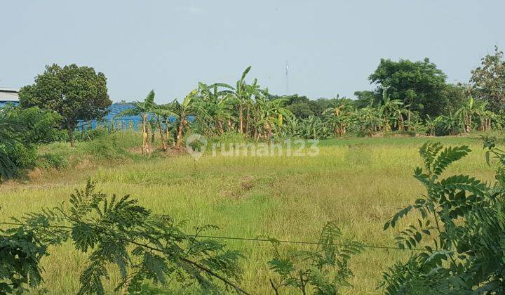 Tanah di kareo jawilan Cikande Seluas 9 Hektar 1