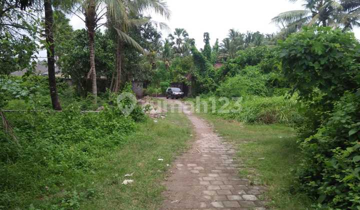 land cheap from central sanur 20 minute. land cheap from central sanur 20 minute.