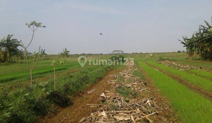 Tanah Pantai Harapan Jaya Babelan Bekasi Utara Jawa Barat 2