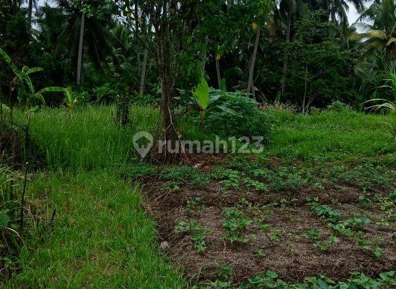 Cheap Land for Housing in Petulu, Ubud, Gianyar, Bali  1