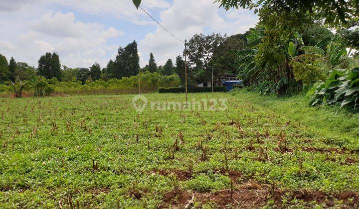 Tanah di Pinggir jalan Raya Cisauk seluas 4000 m2 1