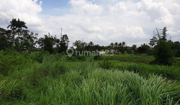 Tanah di Daerah Industri Pergudangan Gunung Sindur 1