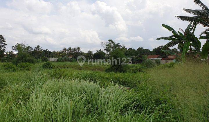 Tanah di Daerah Industri Pergudangan Gunung Sindur 2