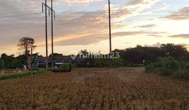 8 ARE Land for Lease with Ricefield view Sanur 2