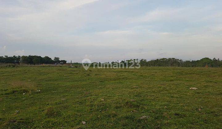 3,59 Hectare Beach front Land at Pantai Nyanyi 2