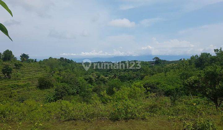 1,64 Hectare Outstanding Land at Nusa Penida 1