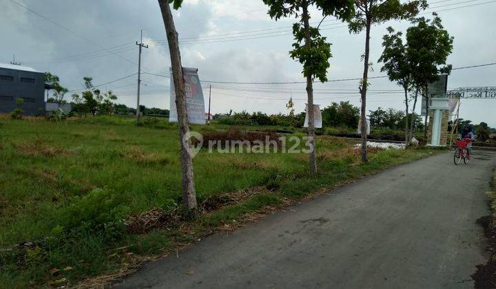 TANAH MURAH DI POROS JALAN RAYA DAENDLES, KOTA PROBOLINGGO 1