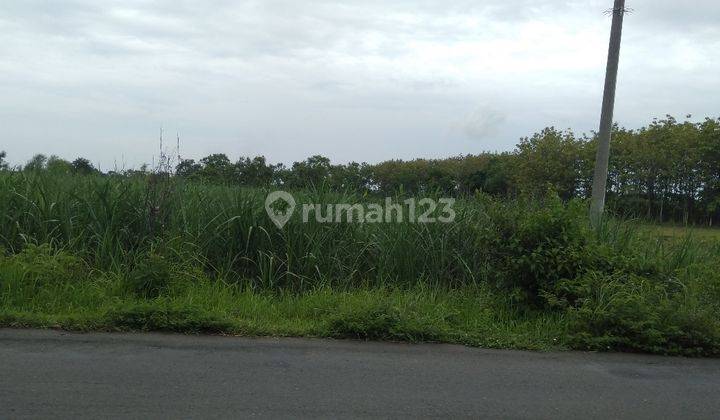 Tanah 0 jalan dekat rencana bandara tambahan Juanda di Lamongan 1