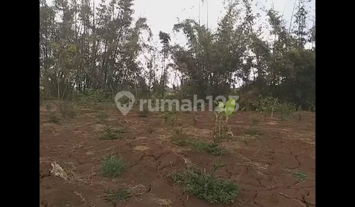 lahan siap bangun lahan siap bangun
