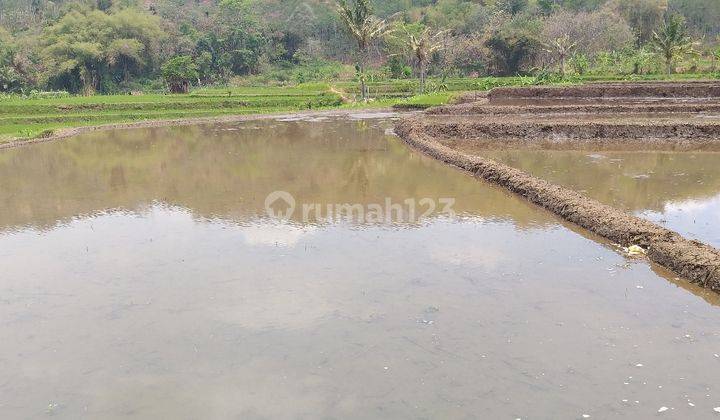 Dijual Tanah Sumber Ngepoh Lawang Malang 2