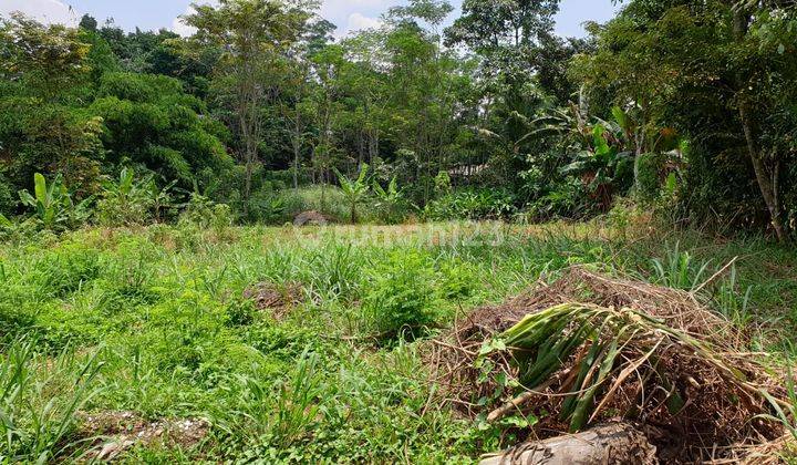 Tanah seluas 7000m2 di cidokom Gunung Sindur 1