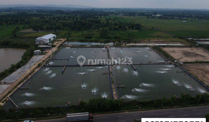 Tanah Tambak Bancar, Tuban 1