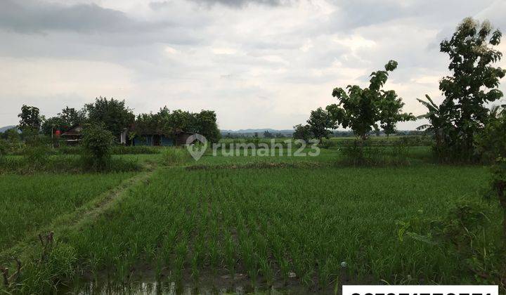 Tanah Industri Desa Ngujung dan Sanggrahan, Gondang, Nganjuk 1