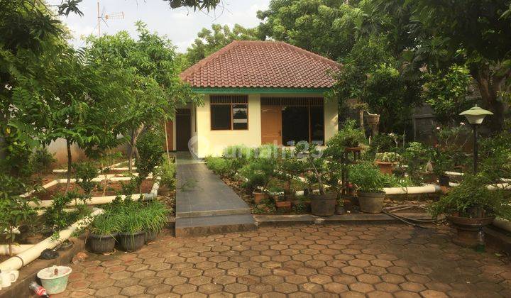 Tanah Murah SUNRISE GARDEN Bonus Rumah Cocok Bangun Cluster 2