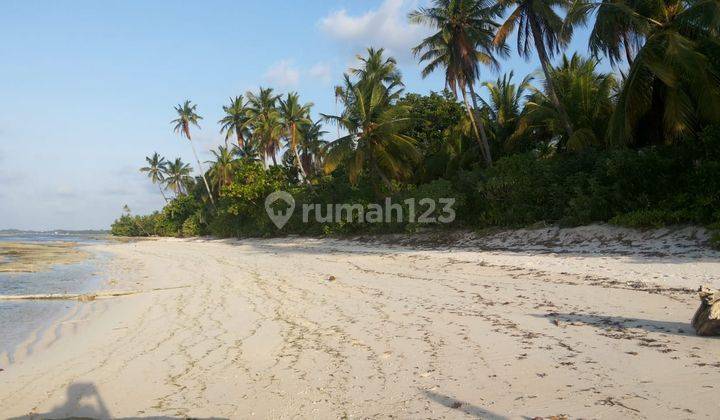 Tanah di pantai Onowa pulau Wangi Wangi Wakatobi dengan pantai pasir putih alami siap bangun resort, hotel, cottage 2