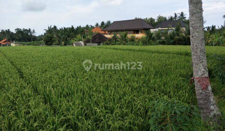  For Rent Rice Field View in Kemenuh 2