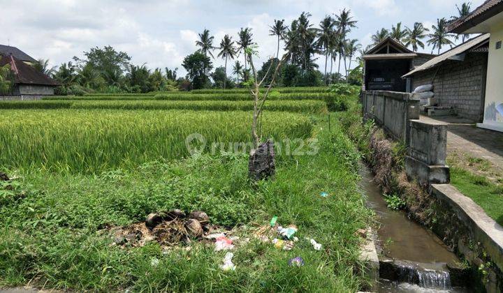  For Rent Rice Field View in Kemenuh 2