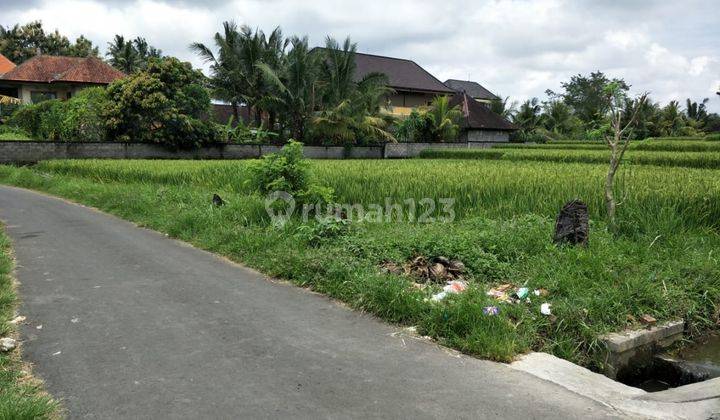  For Rent Rice Field View in Kemenuh 1