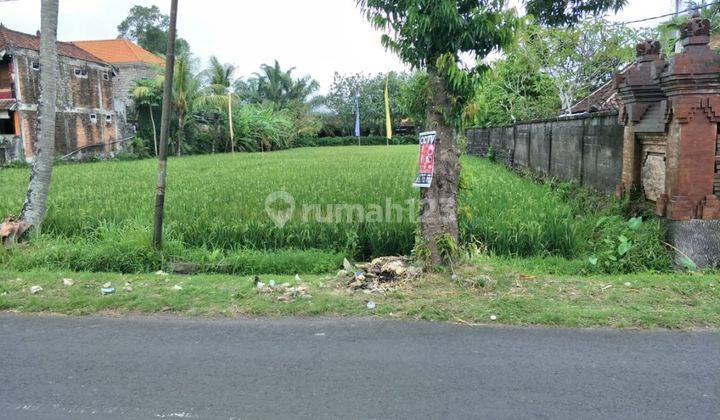 Tanah Pertanian di Tengkulak Mas Kemenuh Gianyar 2