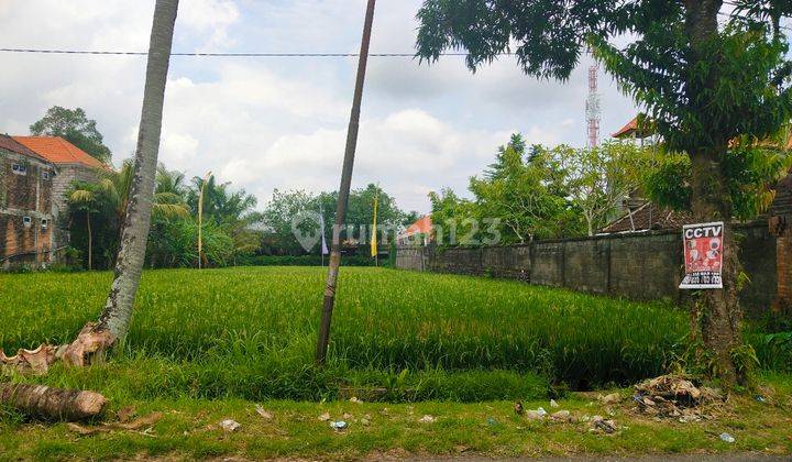 Tanah Disewakan Di Tengkulak Mas Kemenuh - Gianyar 2