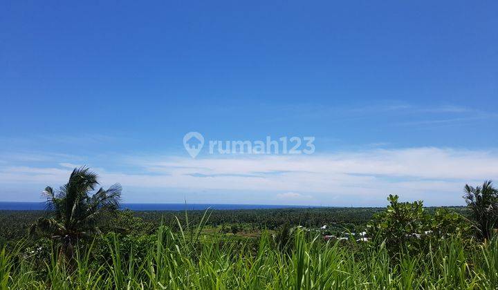 1,3 hectare Land FREEHOLD at the Hill in Tanjung Lombok 1