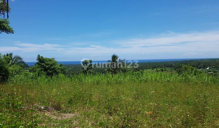 1,3 hectare Land FREEHOLD at the Hill in Tanjung Lombok 2