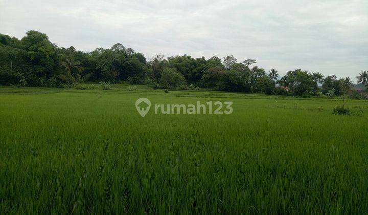 Tanah yg strategis d jalan Mainrood 1