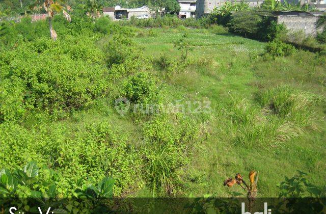 Freehold Land In Prime Location - 748- NS 1