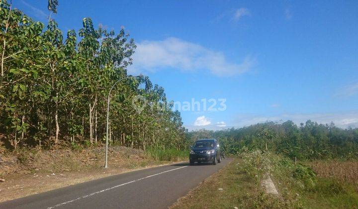 Jual  MURAH tanah dekat Kopi panggang Gunung kidul pinggir aspal 1