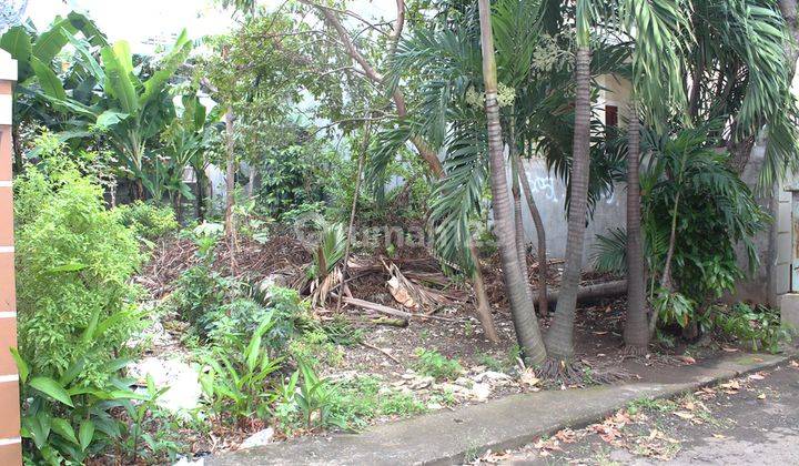 Kavling Siap Bangun Samping Sebelah Kawasan Intercon Taman Kebon Jeruk 160 M2 Pilihan Dari Awal 2