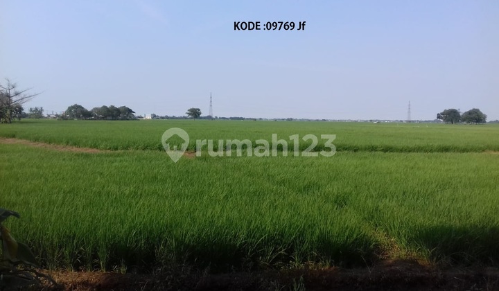 KODE :09769(Jf) Kavling Karawang, Luas 110.000 Meter