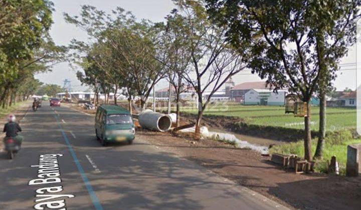 Kavling di Jalan Nasional, Bisa Untuk Industri, Cianjur Bandung 2