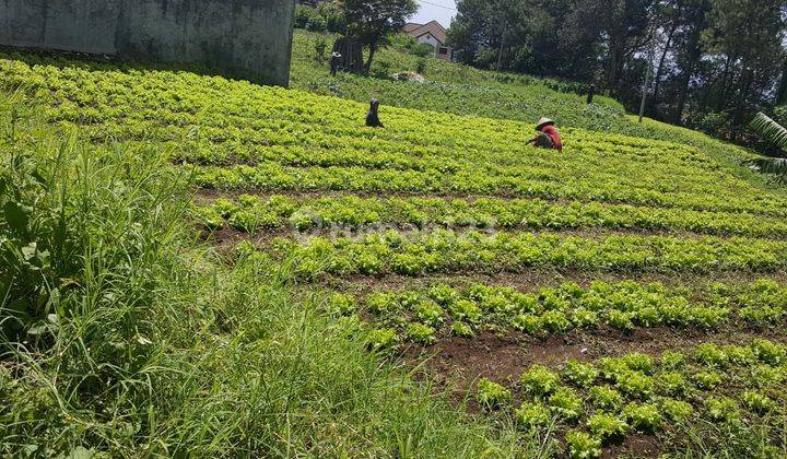 tanah kavling setiabudi regency setiabudhi wing sersan bajuri sukasari 1